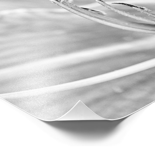 Impression Photo Macro Fleur B&W (Coin)