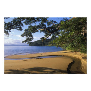 Impression Photo Madagascar, réserve spéciale de Nosy Mangabe, sur