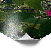 Impression Photo Magens Bay St. Thomas, USVI Tropical Beach (Coin)