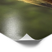 Impression Photo Magnifique cheval de palomino sauvage (Coin)