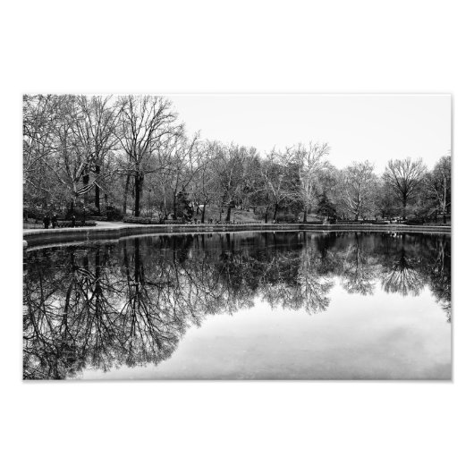 Impression Photo Magnifique paysage de Central Park en noir et blan (Devant)