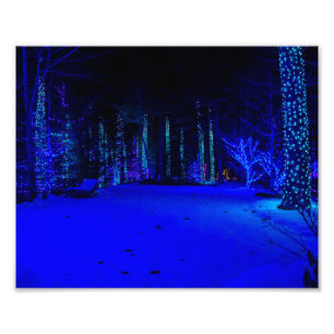 Impression Photo Magnifique période de Noël 8 x 10 Kodak Pro Print