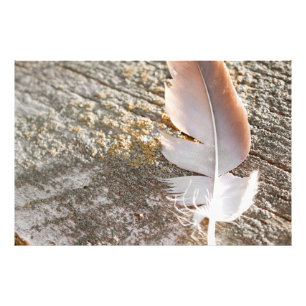 Impression Photo Magnifique Plumes De Couleur Bleue Sur Bois Chaud