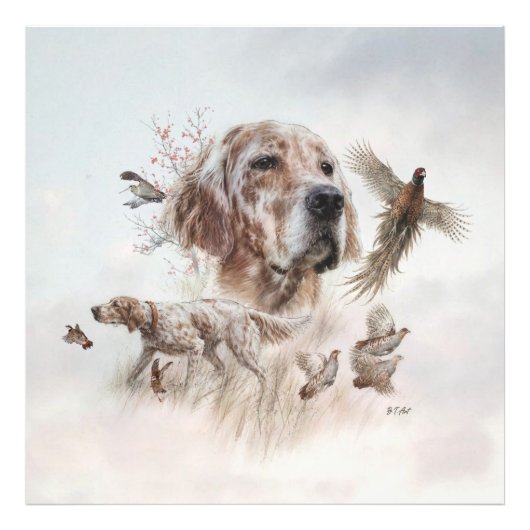 Impression Photo Magnifique Setter , Art (Devant)
