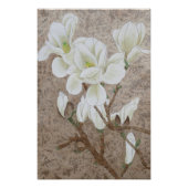 Impression Photo Magnolia blossom (Devant)