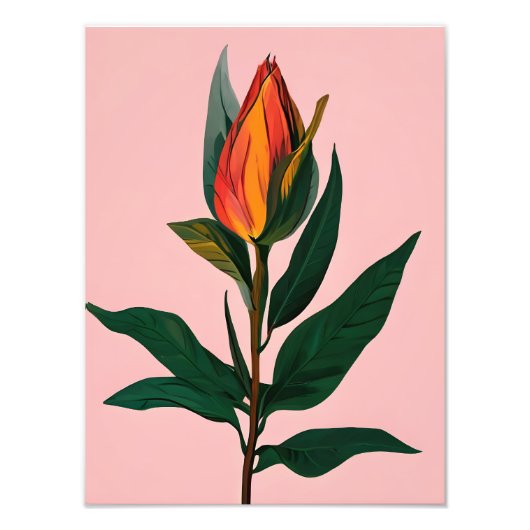 Impression Photo Magnolia Bud (Devant)