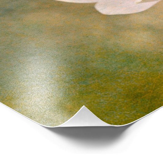 Impression Photo Magnolia Queen (Coin)