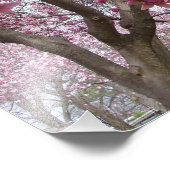 Impression Photo Magnolia rose large de 19 po x 13 po (Coin)