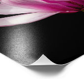 Impression Photo Magnolia rose sur noir (Coin)