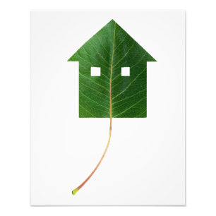 Impression Photo Maison à feuilles