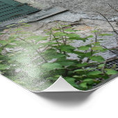 Impression Photo Maison abandonnée, Bâle, Suisse (Coin)