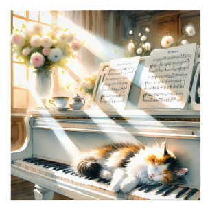 Impression Photo Maison de Rêve au Piano Ensoleillé avec Chat Cotta