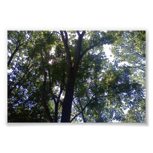 Impression Photo Maison des elfes (Devant)