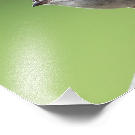 Impression Photo Maison Sparrow (Coin)