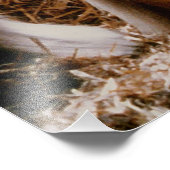 Impression Photo Majestic Clydesdale (Coin)