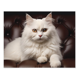 Impression Photo Majestic white cat