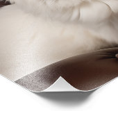 Impression Photo Majestic white cat (Coin)