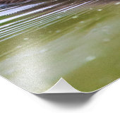 Impression Photo Mallard Duckling (Coin)