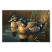 Impression Photo Mallard Ducks (Devant)