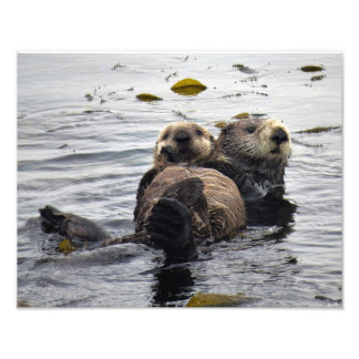 Impression Photo Maman et bébé loutre de mer