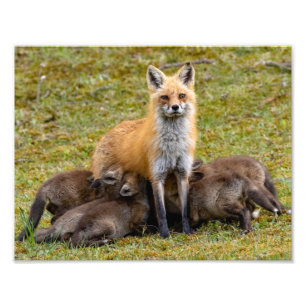 Impression Photo Maman Propose Un Repas Familial