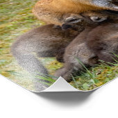 Impression Photo Maman Propose Un Repas Familial (Coin)