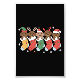 Impression Photo Maman teckel Noël Cadeau pour amateur de chien Nou