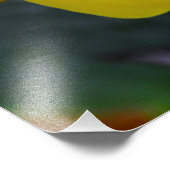 Impression Photo Mandevilla jaune soleil (Coin)