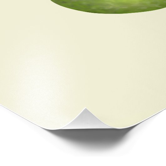 Impression Photo Mango et Avocado (Coin)