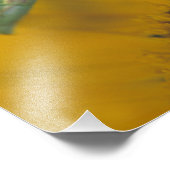 Impression Photo Mante de prière (Coin)