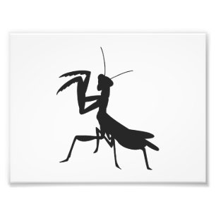Impression Photo Mantis en silhouette - Choisir la couleur arrière