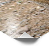 IMPRESSION PHOTO MARA PATAGONIEN (Coin)