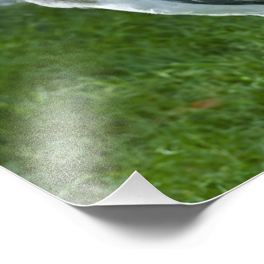 Impression Photo Marabou (Coin)