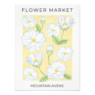 Impression Photo Marché aux fleurs Blanc Montagne alpine Fleurs