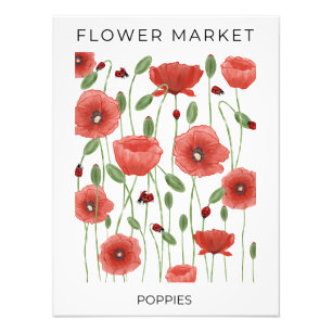 Impression Photo Marché aux Fleurs Coquelicots Rouges et Coccinelle