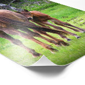 Impression Photo Mare Avec Colt - Proximité de Dieu 5 x 7 impressio (Coin)