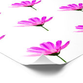 Impression Photo Marguerite rose (Coin)