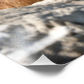 Impression Photo Marmotte alpine sur roche (Coin)