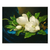 Impression Photo Martin Johnson Heade (Devant)