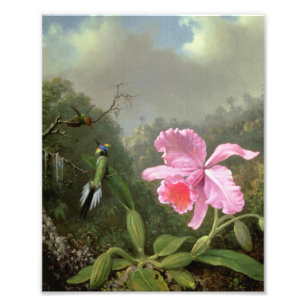 Impression Photo Martin Johnson Heade Orchid Et Hummingbirds