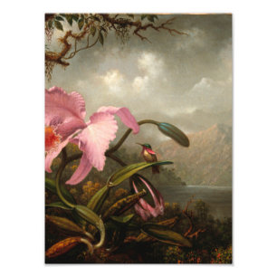 Impression Photo Martin Johnson Heade - Orchidée Et Colibri