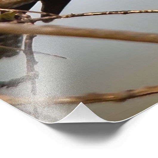 Impression Photo Martin-pêcheur (Coin)