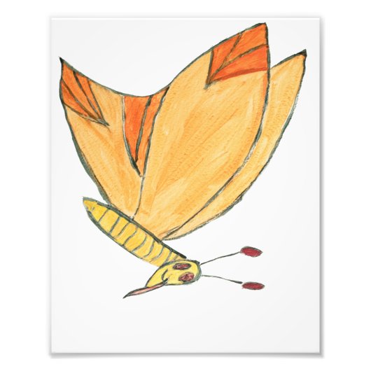 Impression Photo Marvin le papillon (Devant)