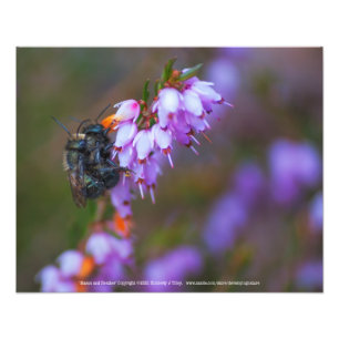 Impression Photo Mason et Heather