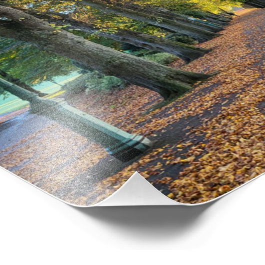 Impression Photo Matin d'automne (Coin)