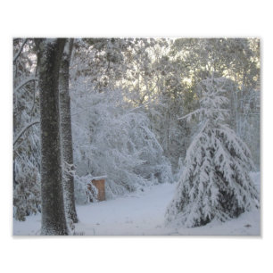 Impression Photo Matin d'hiver de la Nouvelle Angleterre