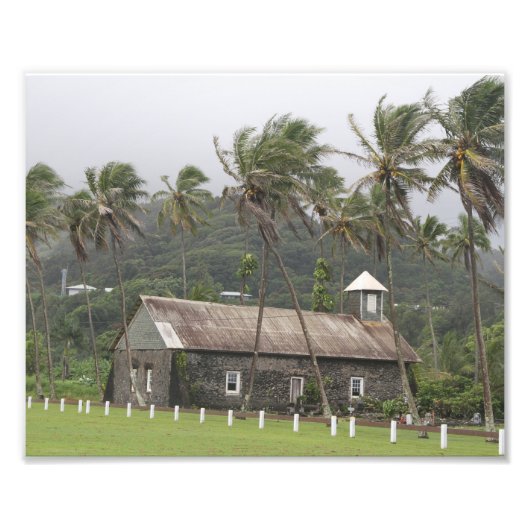Impression Photo Maui, Église ancienne, Palmiers soufflés par le ve (Devant)