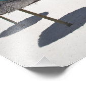 Impression Photo Maurice, Ile Maurice, Belle Mare, (Coin)