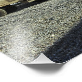 Impression Photo MaxxPro (Coin)