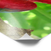 Impression Photo Me regardez-vous ?  (Coin)